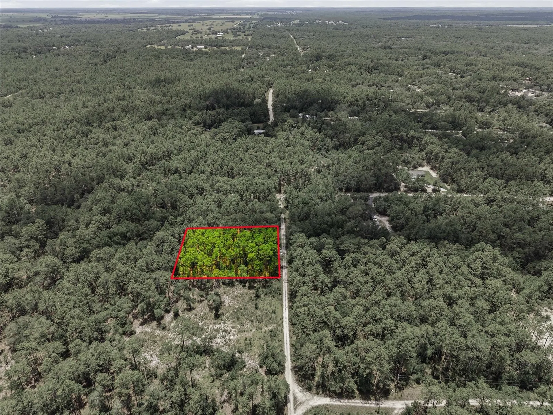 Lot 02 SW 175th Terrace Dunnellon FL 34432