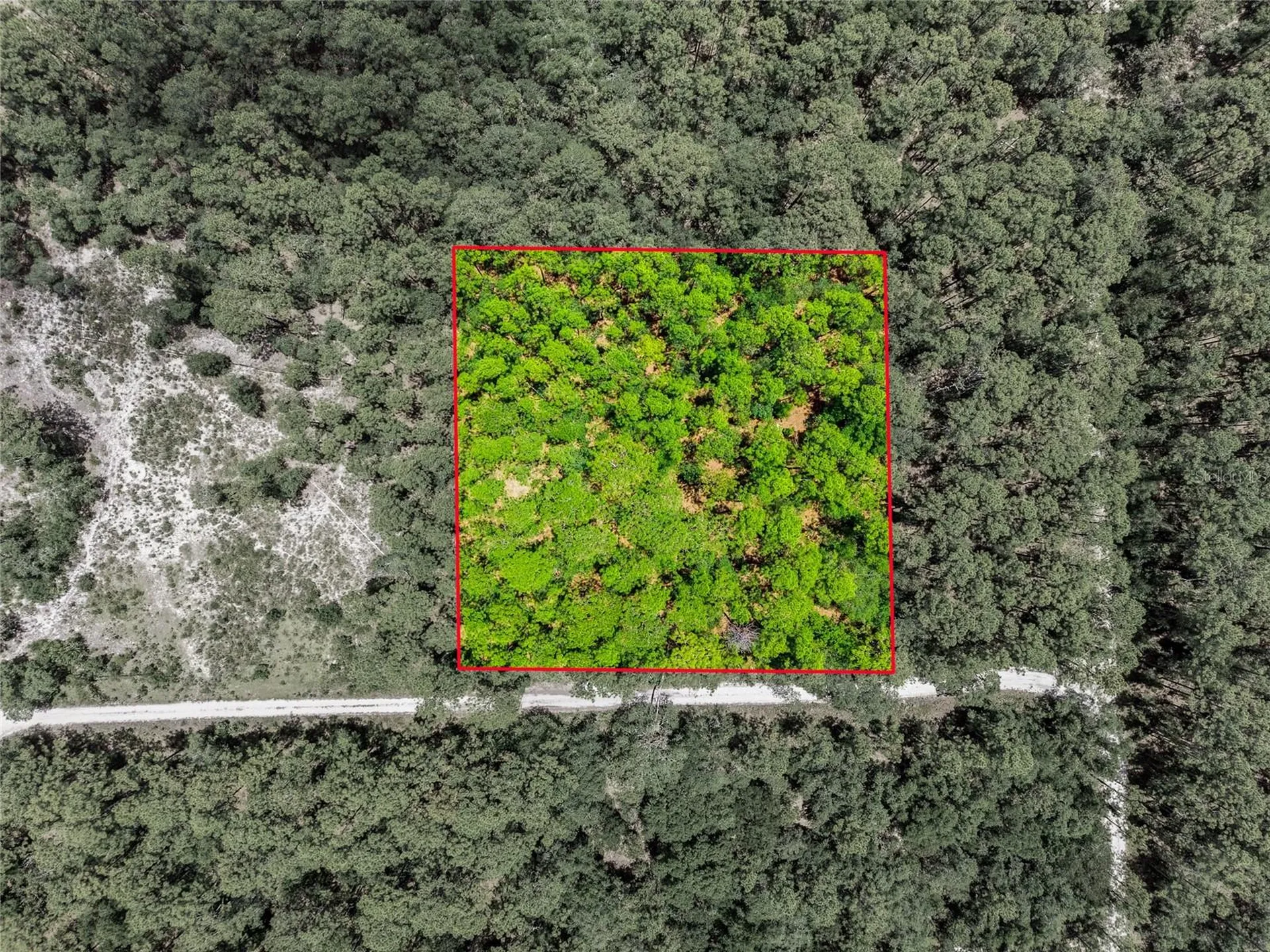 Lot 02 SW 175th Terrace Dunnellon FL 34432