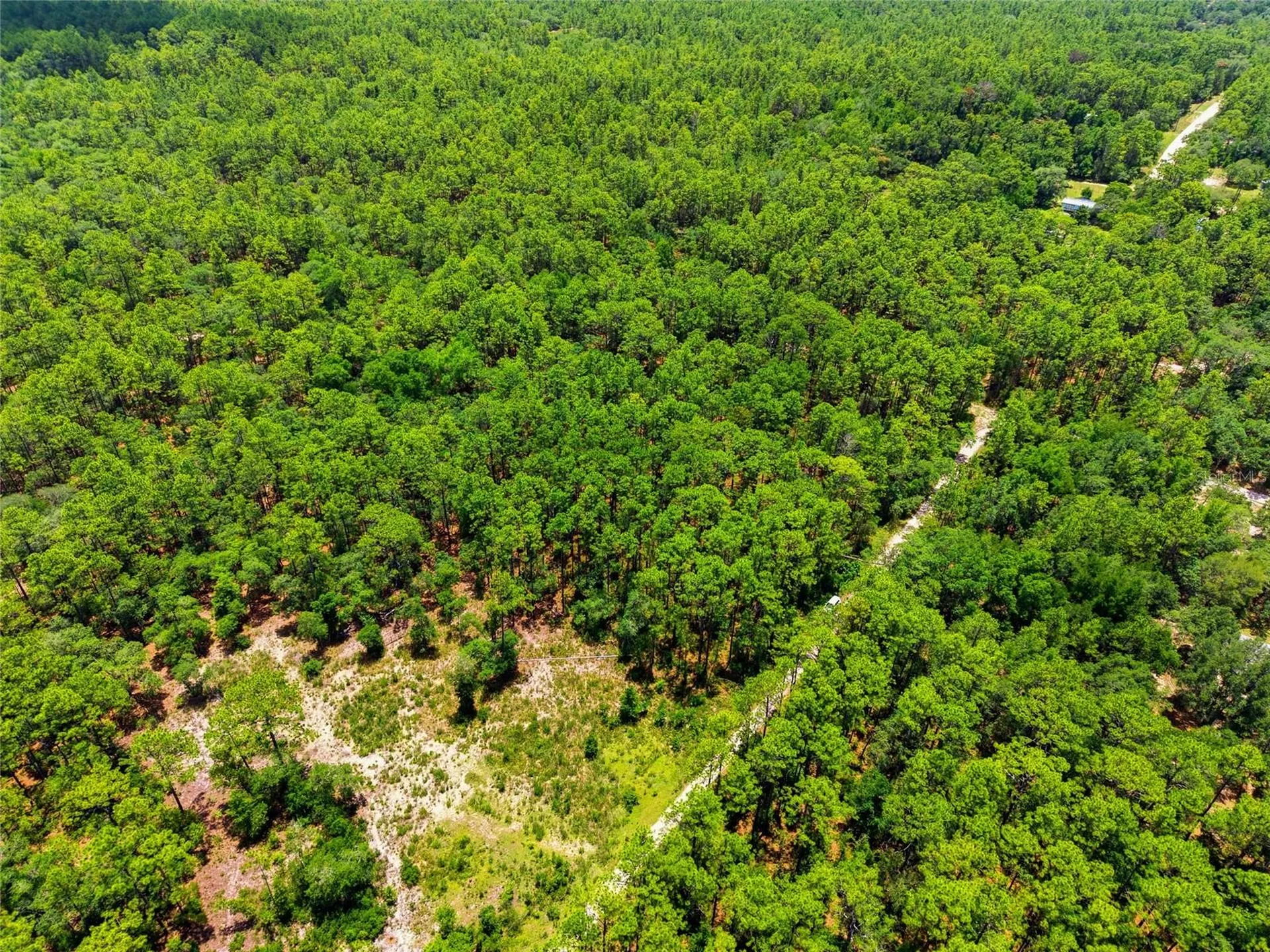Lot 02 SW 175th Terrace Dunnellon FL 34432