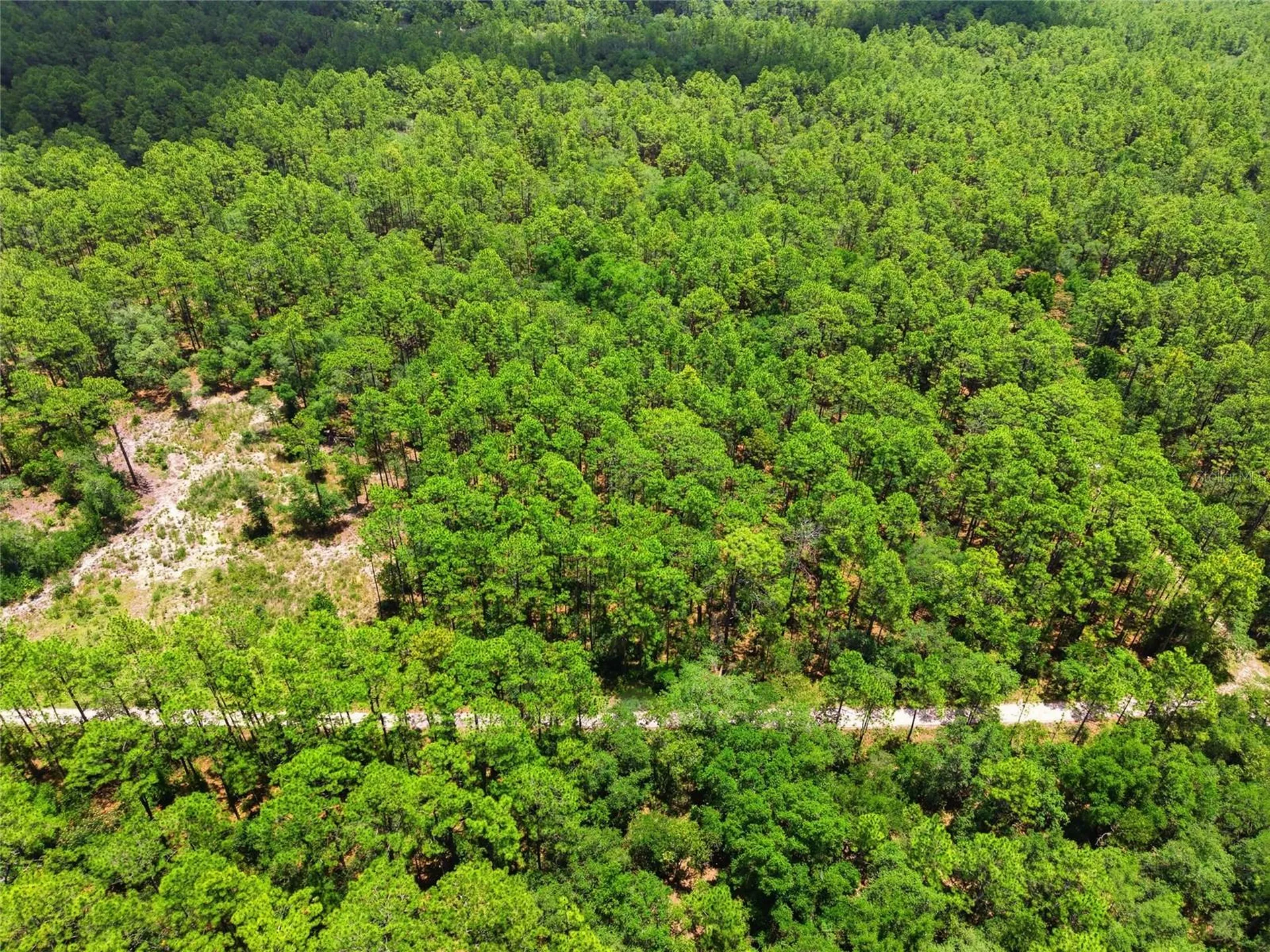 Lot 02 SW 175th Terrace Dunnellon FL 34432