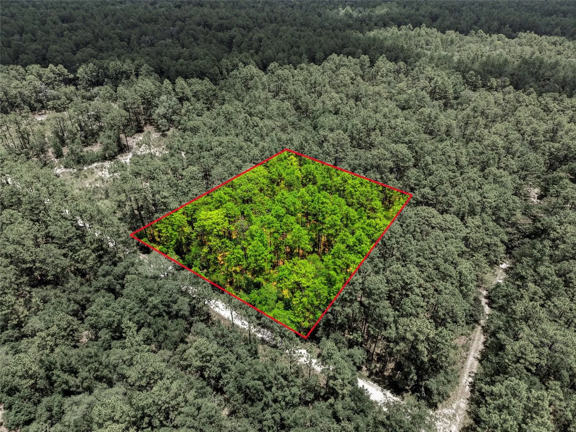 Lot 02 SW 175th Terrace Dunnellon FL 34432