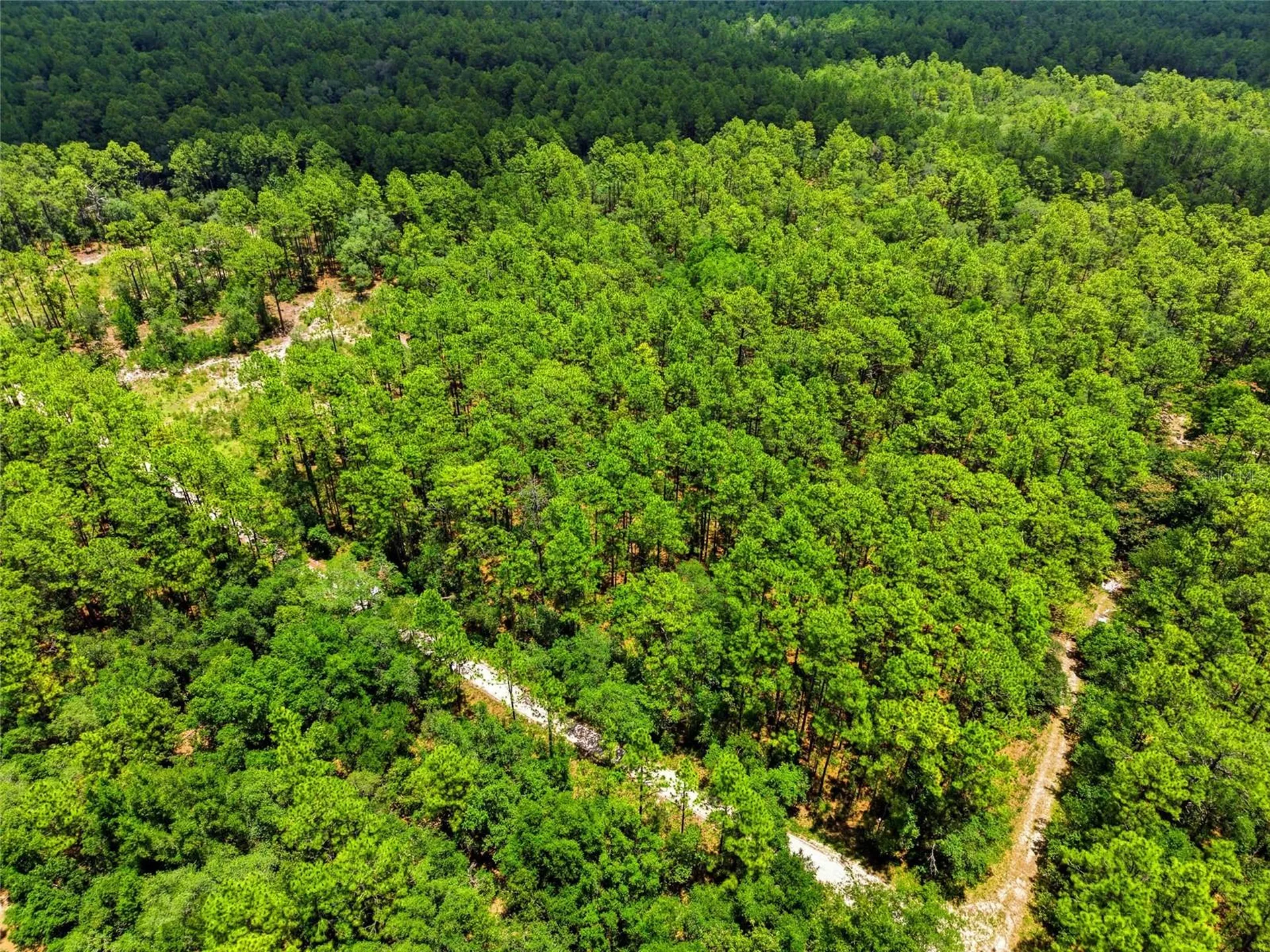 Lot 02 SW 175th Terrace Dunnellon FL 34432