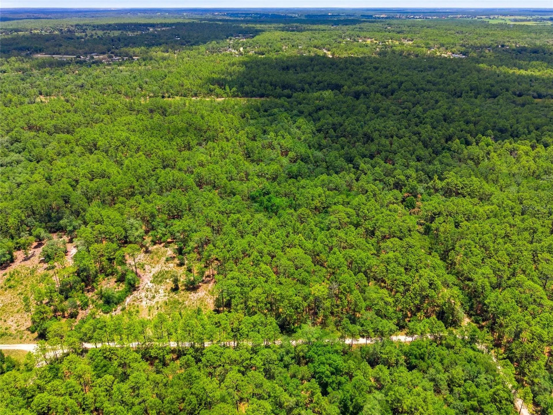 Lot 02 SW 175th Terrace Dunnellon FL 34432