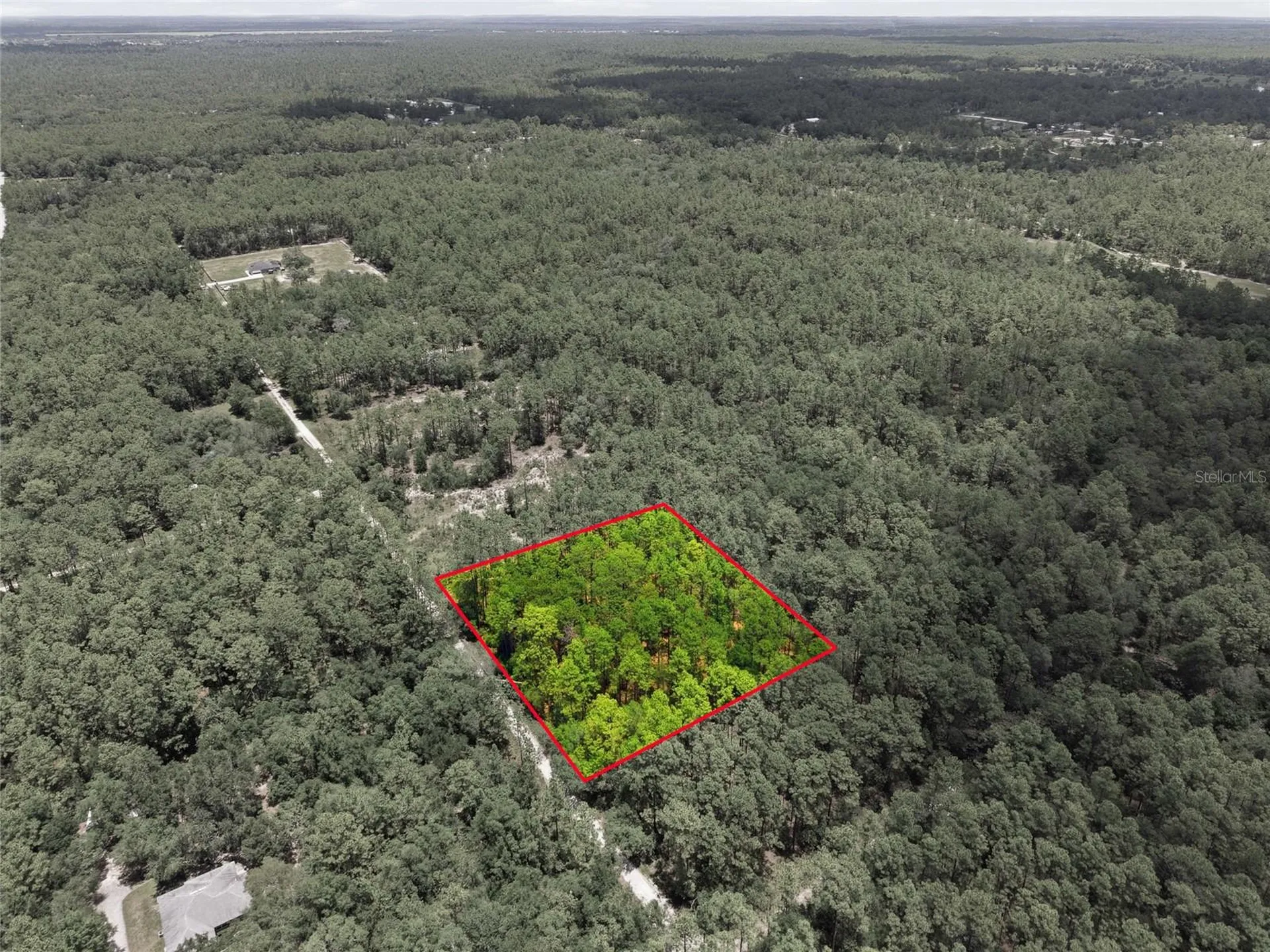 Lot 02 SW 175th Terrace Dunnellon FL 34432