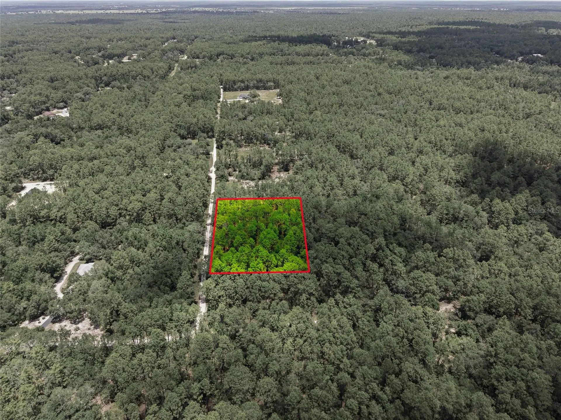 Lot 02 SW 175th Terrace Dunnellon FL 34432