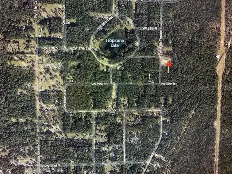 Lot 02 SW 175th Terrace Dunnellon FL 34432