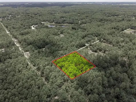 Lot 02 SW 175th Terrace Dunnellon FL 34432