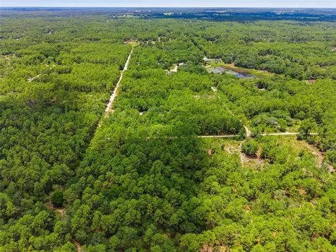 Lot 02 SW 175th Terrace Dunnellon FL 34432