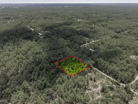 Lot 02 SW 175th Terrace Dunnellon FL 34432