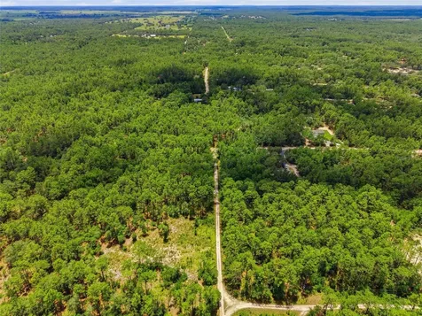 Lot 02 SW 175th Terrace Dunnellon FL 34432