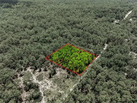 Lot 02 SW 175th Terrace Dunnellon FL 34432