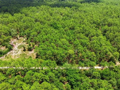 Lot 02 SW 175th Terrace Dunnellon FL 34432