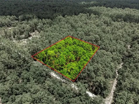 Lot 02 SW 175th Terrace Dunnellon FL 34432