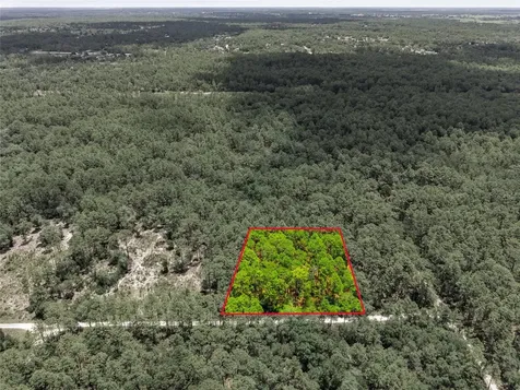 Lot 02 SW 175th Terrace Dunnellon FL 34432