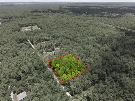 Lot 02 SW 175th Terrace Dunnellon FL 34432
