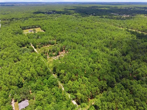 Lot 02 SW 175th Terrace Dunnellon FL 34432