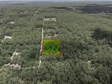 Lot 02 SW 175th Terrace Dunnellon FL 34432