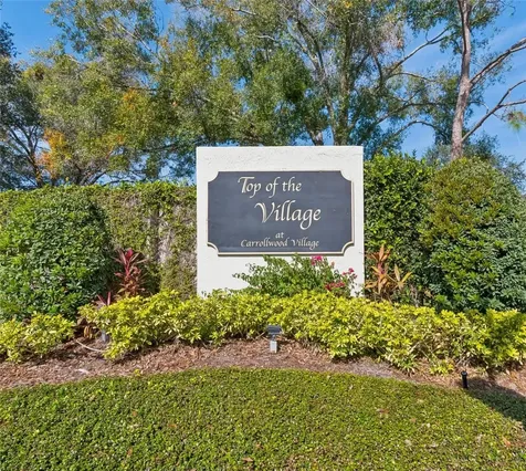 14603 Village Glen Circle Tampa FL 33618