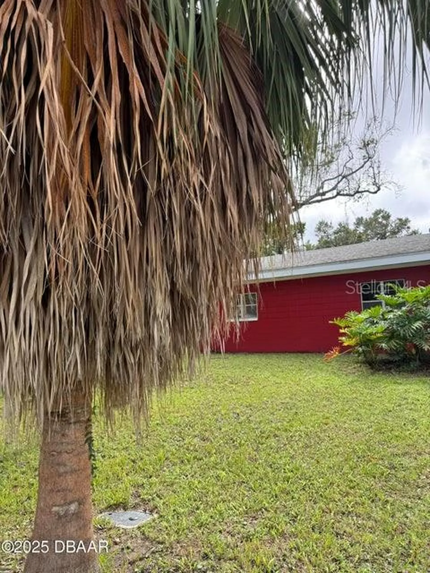 448 Dorothy Avenue Daytona Beach FL 32117