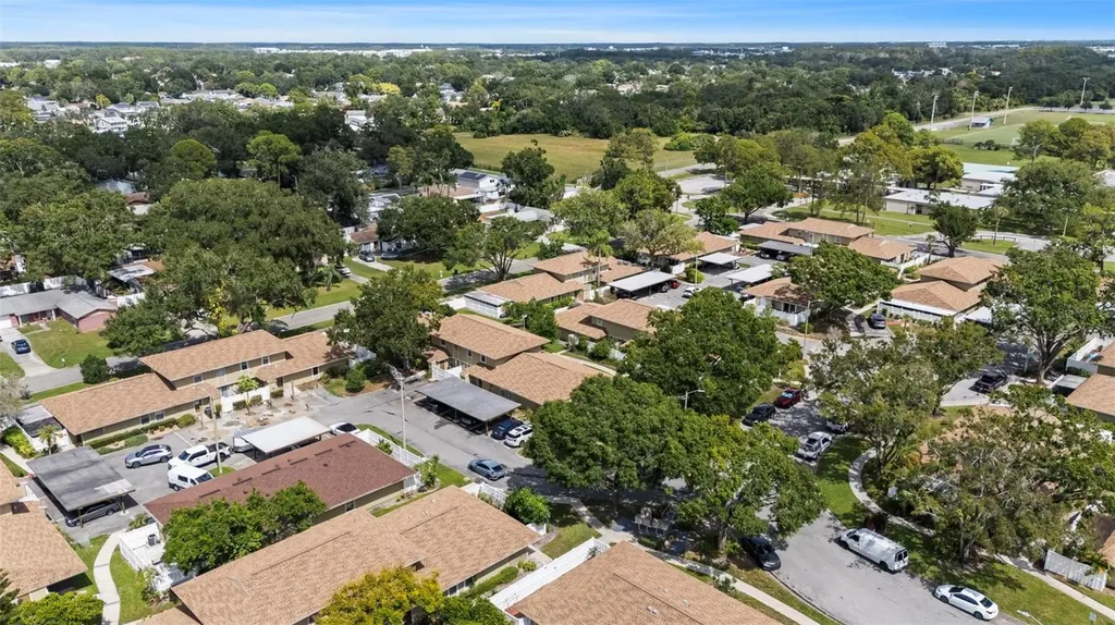 7303 Los Padres Court Tampa FL 33634