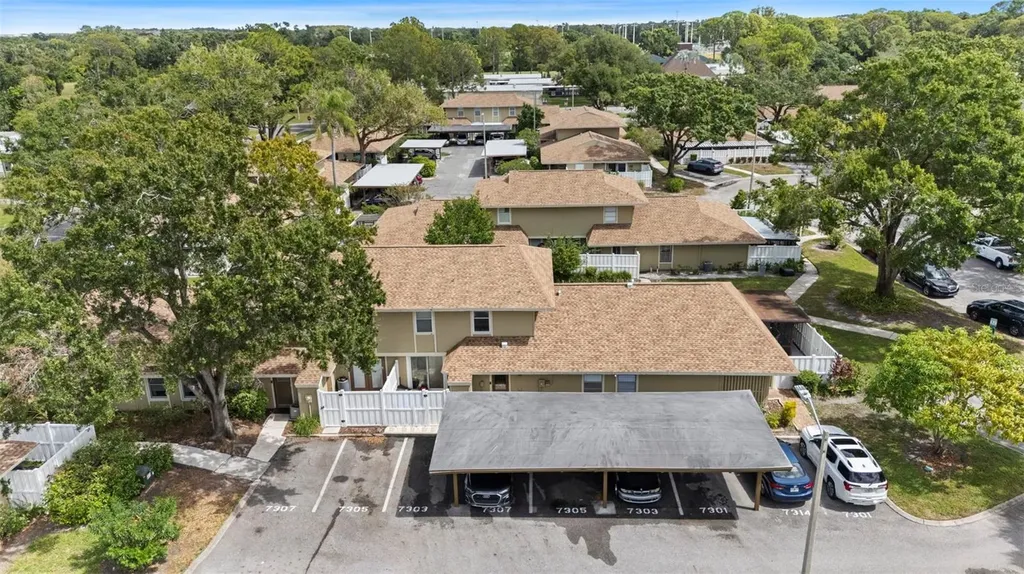7303 Los Padres Court Tampa FL 33634