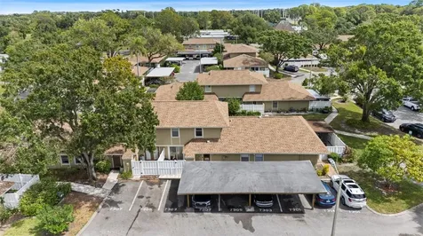 7303 Los Padres Court Tampa FL 33634
