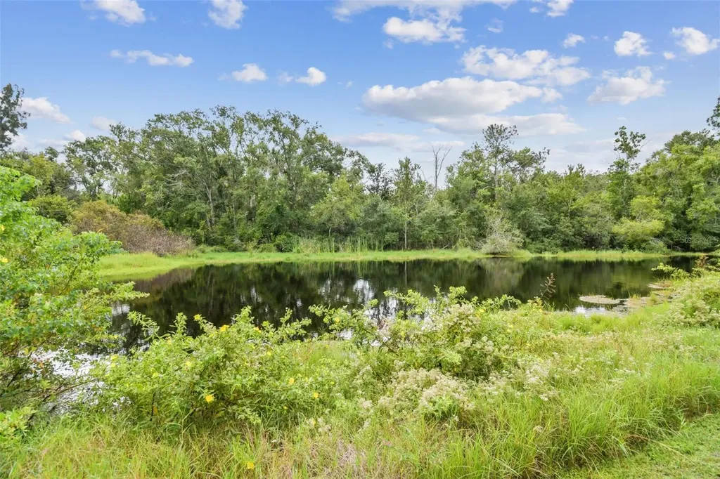 3020 Kensington Trace Tarpon Springs FL 34688