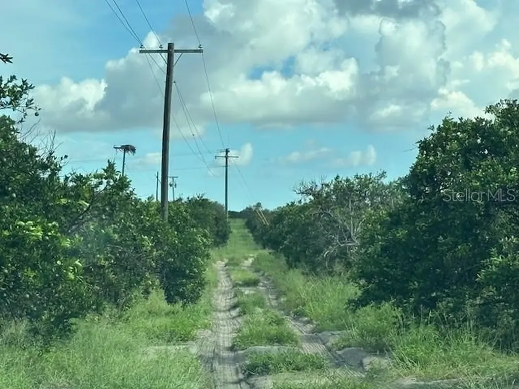 Bagley Road Haines City FL 33844