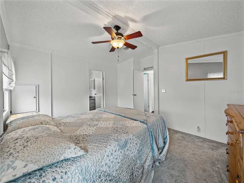 4920 Blanco Drive Zephyrhills FL 33541