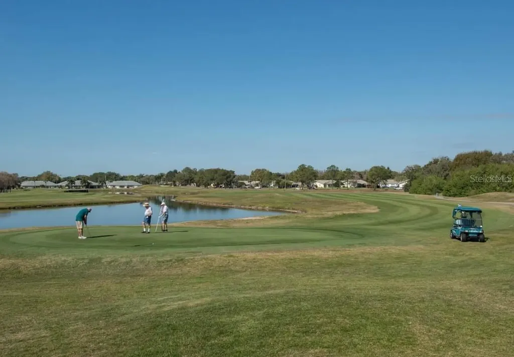 2014 Hampstead Circle Sun City Center FL 33573