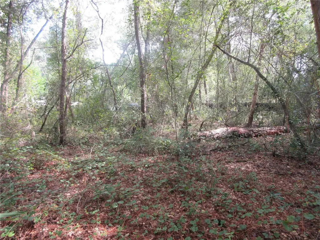 NE 171st Court Silver Springs FL 34488
