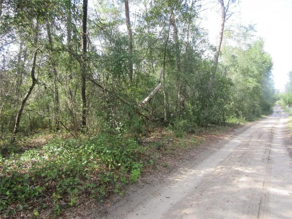 NE 171st Court Silver Springs FL 34488