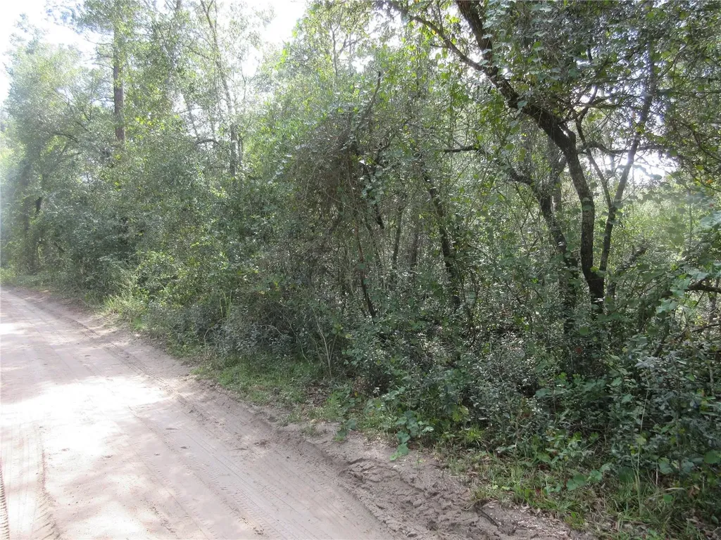 NE 171st Court Silver Springs FL 34488