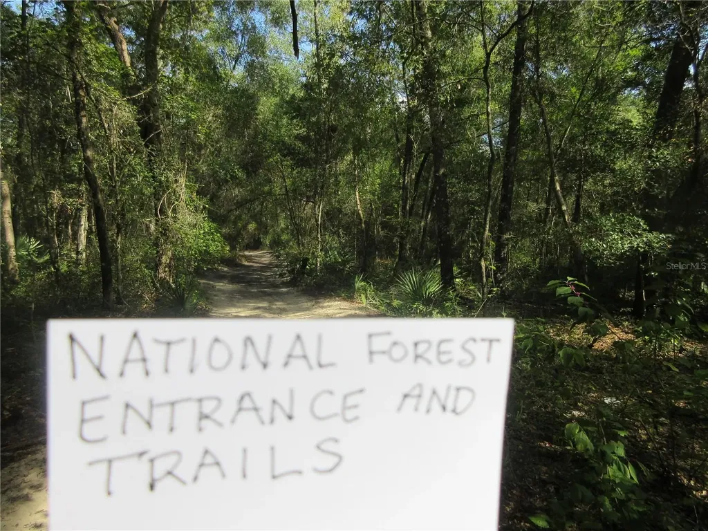 NE 171st Court Silver Springs FL 34488