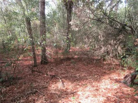 NE 171st Court Silver Springs FL 34488