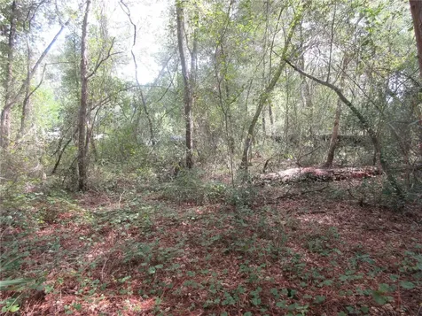NE 171st Court Silver Springs FL 34488