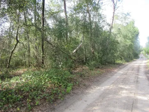 NE 171st Court Silver Springs FL 34488