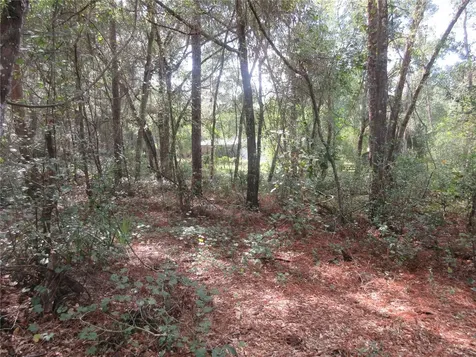 NE 171st Court Silver Springs FL 34488