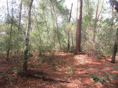 NE 171st Court Silver Springs FL 34488