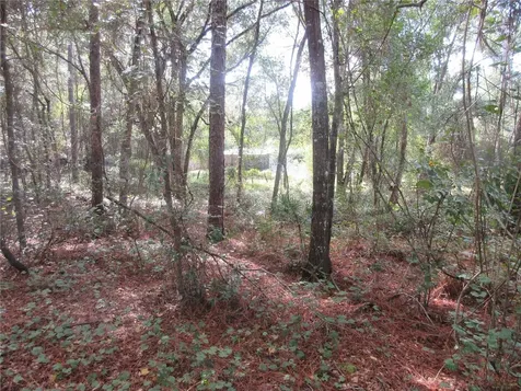 NE 171st Court Silver Springs FL 34488