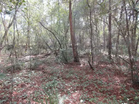 NE 171st Court Silver Springs FL 34488
