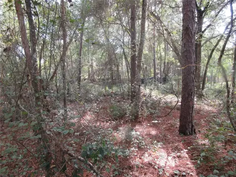 NE 171st Court Silver Springs FL 34488