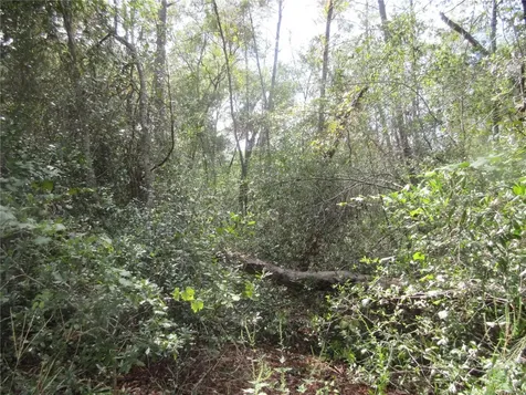 NE 171st Court Silver Springs FL 34488