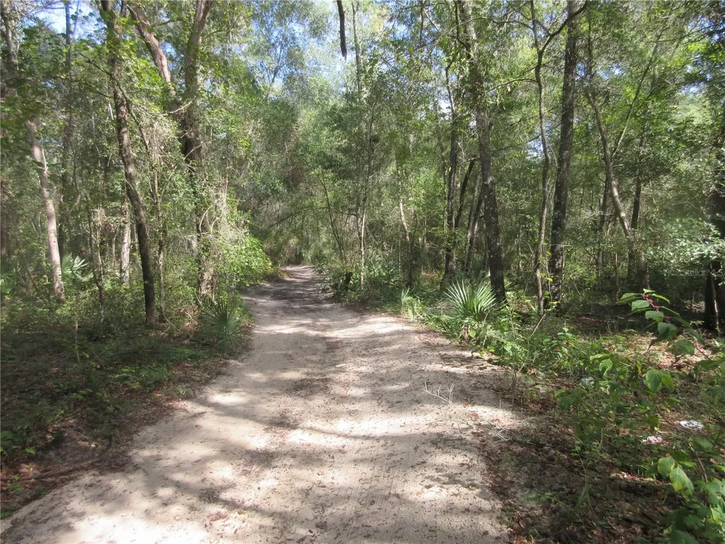 NE 171st Court Silver Springs FL 34488
