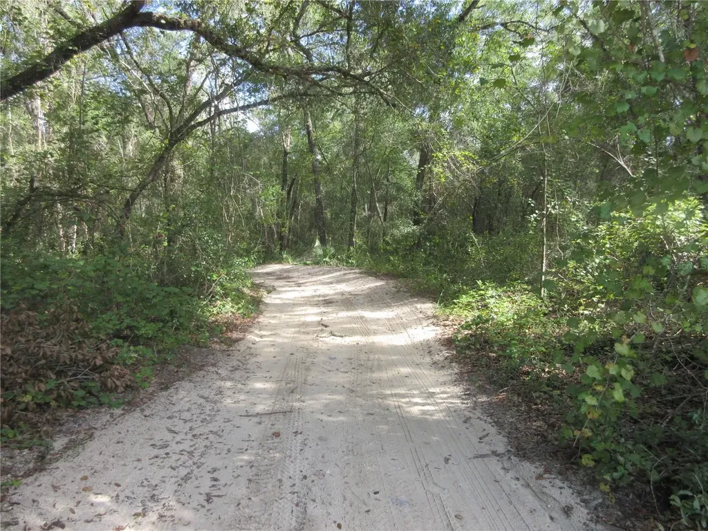 NE 171st Court Silver Springs FL 34488
