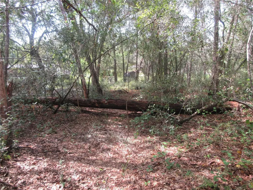 NE 171st Court Silver Springs FL 34488