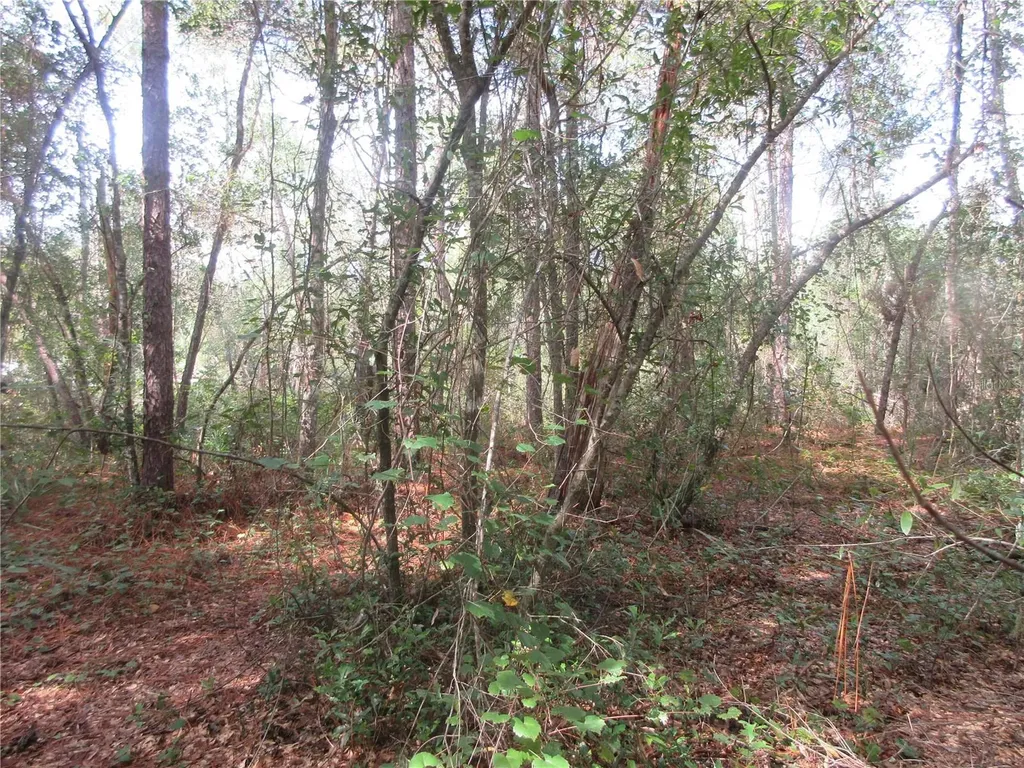 NE 171st Court Silver Springs FL 34488