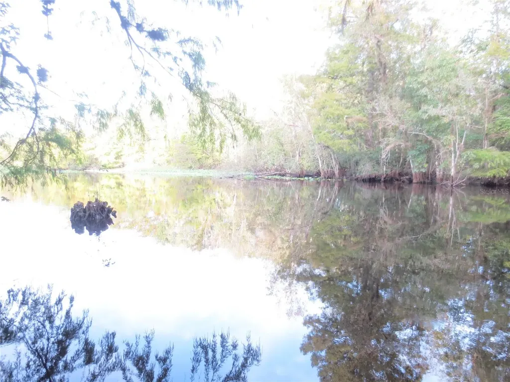 NE 171st Court Silver Springs FL 34488