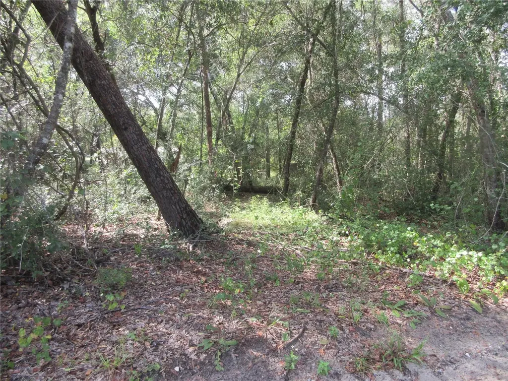 NE 171st Court Silver Springs FL 34488