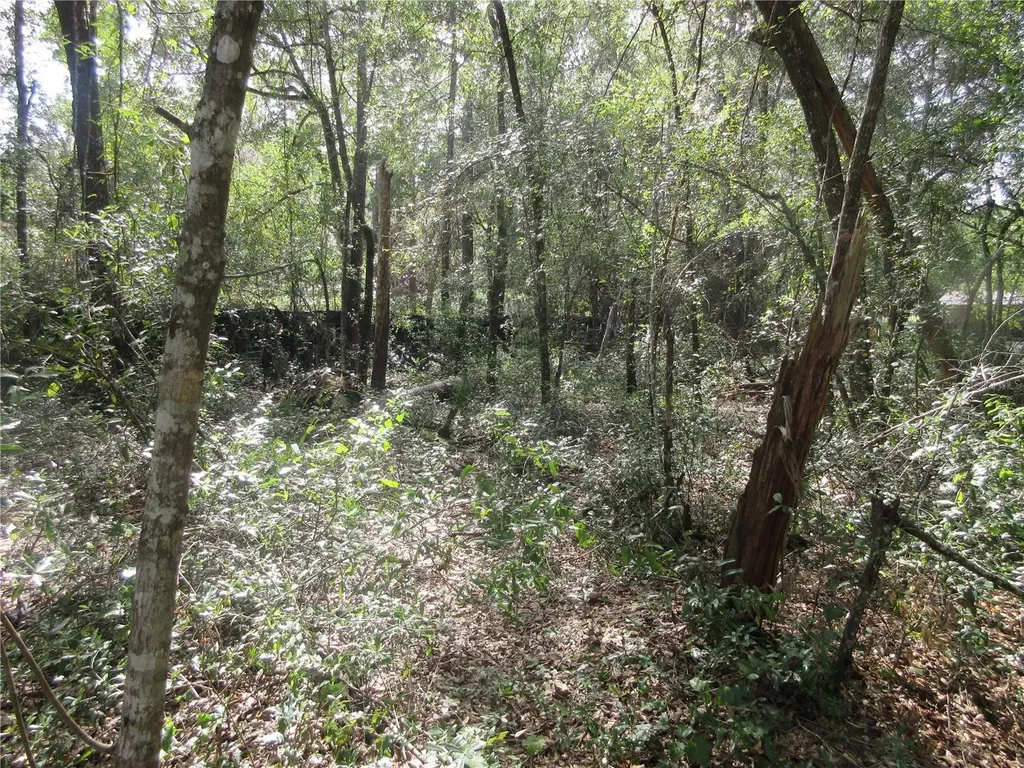 NE 171st Court Silver Springs FL 34488